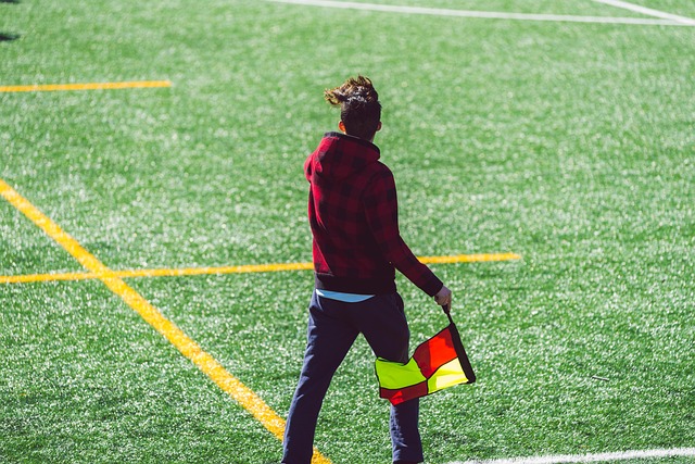 下显得尤为 下显得尤为