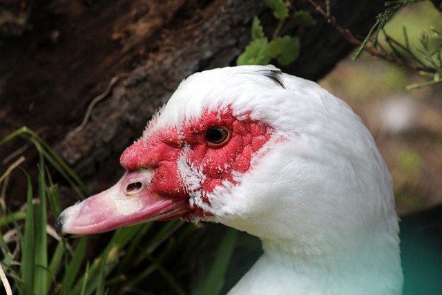 亮点纷呈 亮点纷呈