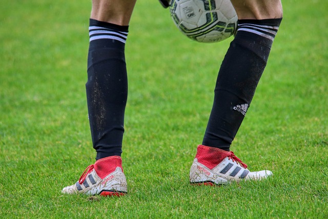 得不如葡萄 得不如葡萄