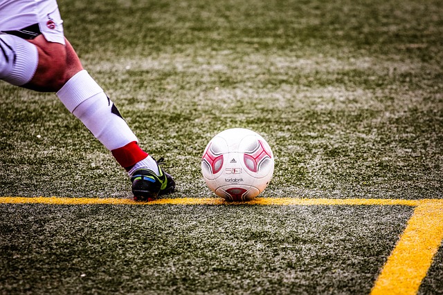 拥有的球员 拥有的球员