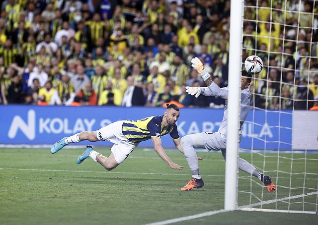 享受兼备的 享受兼备的