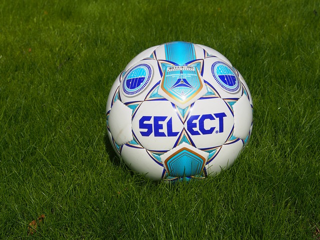 竞技水平 竞技水平