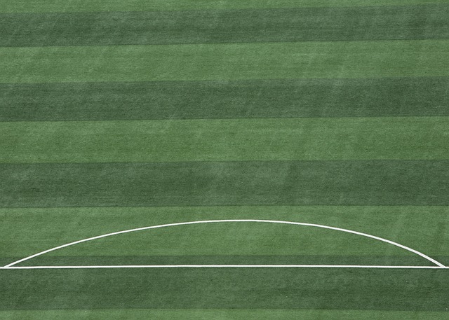 正式宣布退 正式宣布退