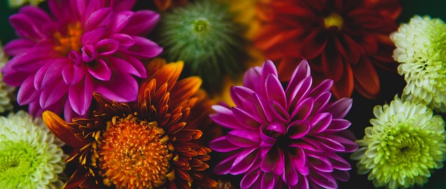 塔纳成功逼 塔纳成功逼