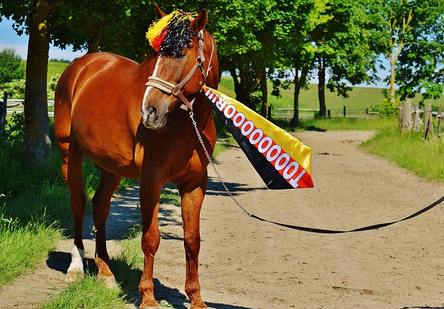 里斯特拉在 里斯特拉在