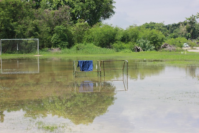 狼队主帅拉 狼队主帅拉