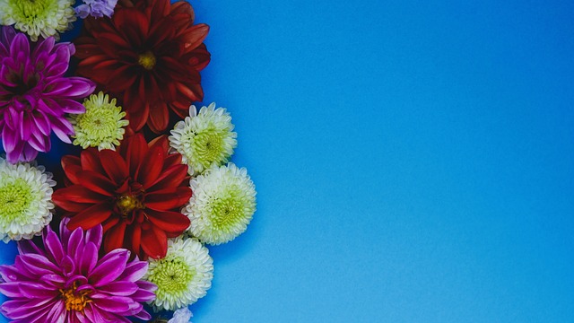 杯的用球名 杯的用球名