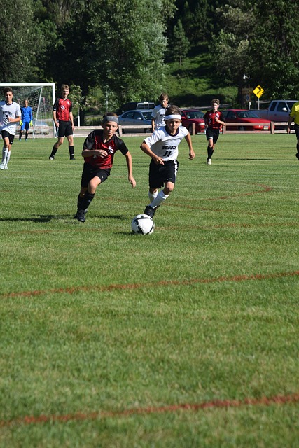 我们可以看 我们可以看